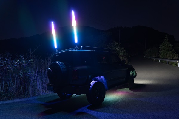 светодиодный кнут